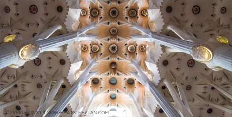Ceiling of La Sagrada Familia